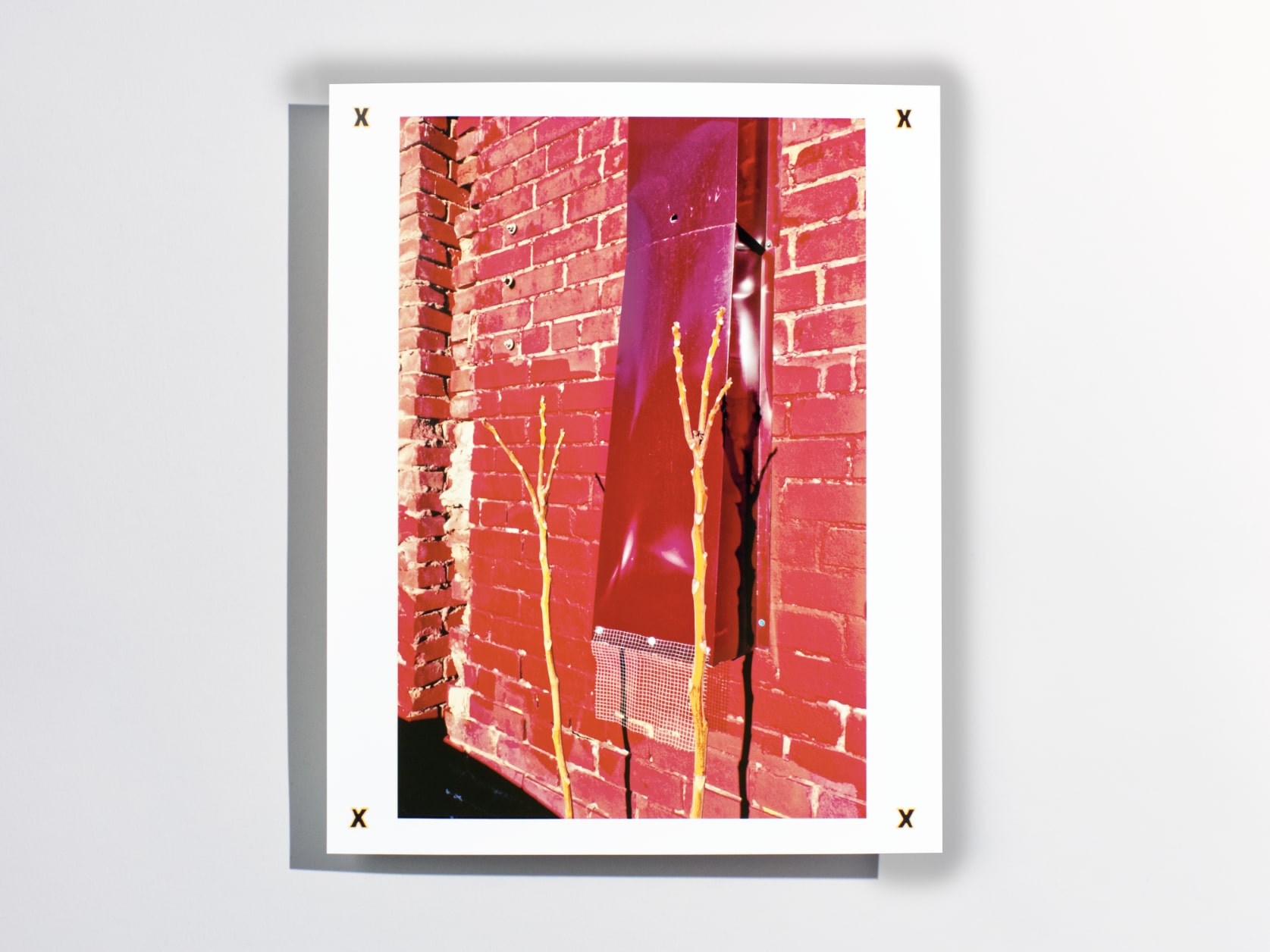 A photography print of a red brick wall with an air duct on it and two yellow plant stems protruding from the bottom